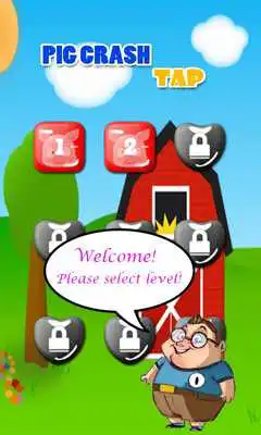 Play Pig Crash Tap Play Pig Crash Tap