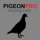 Free play online Pigeon Calls for Hunting AU APK