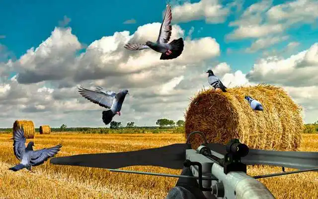 Play Pigeon Hunting 2018: Crossbow Birds Wings Shooting