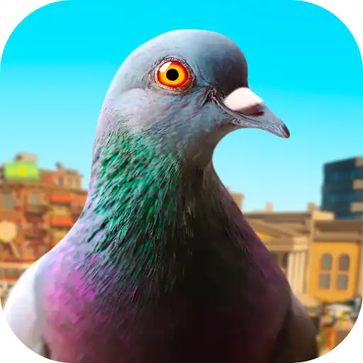Play Pigeon APK