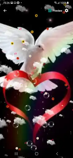 Play Pigeon Live Wallpaper  and enjoy Pigeon Live Wallpaper with UptoPlay