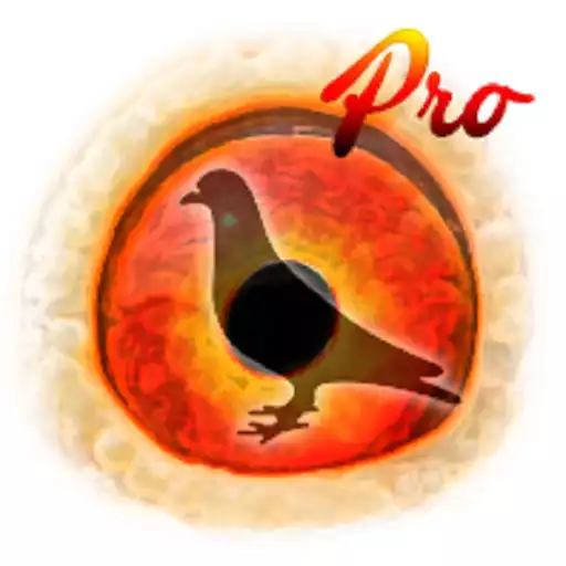 Play Pigeon Pedigree Pro APK Play Pigeon Pedigree Pro APK