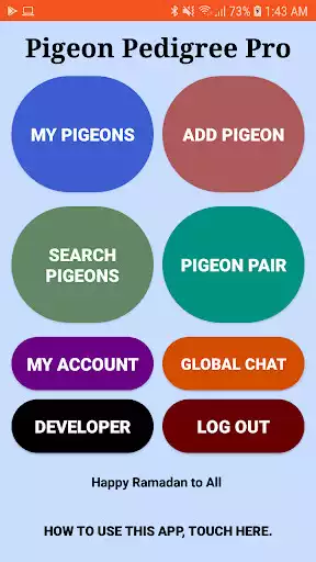 Play Pigeon Pedigree Pro as an online game Pigeon Pedigree Pro with UptoPlay