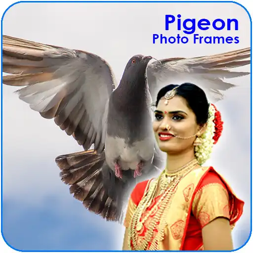 Play Pigeon Photo Editor and Frames APK