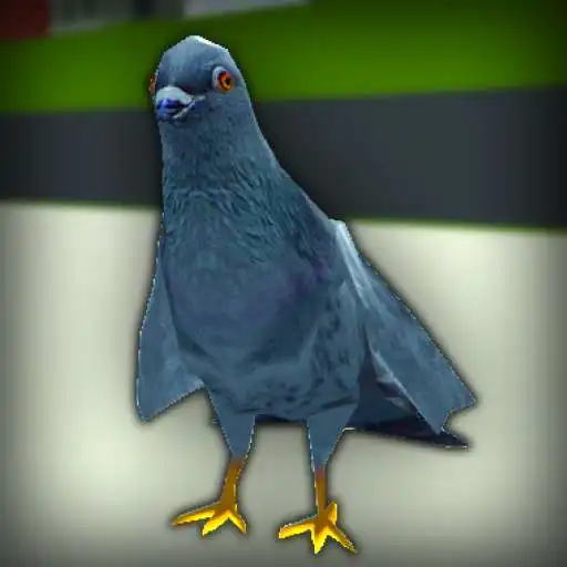 Play Pigeon Rampage Simulator APK