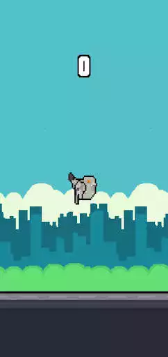Play Pigeon