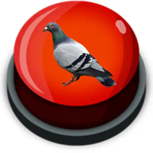 Play Pigeon Sound Effect APK