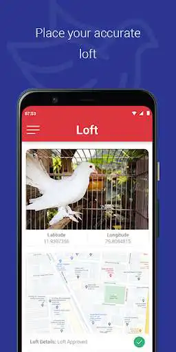 Play Pigeon Sports Clock as an online game Pigeon Sports Clock with UptoPlay