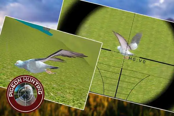Play Pigeon Spy Hunting 3D