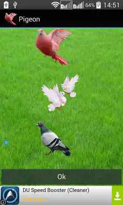 Play Pigeon Widget for LOVE