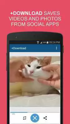 Play Piggyback