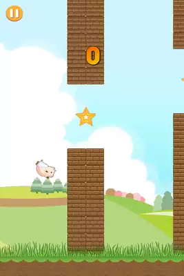 Play Piggy Hero