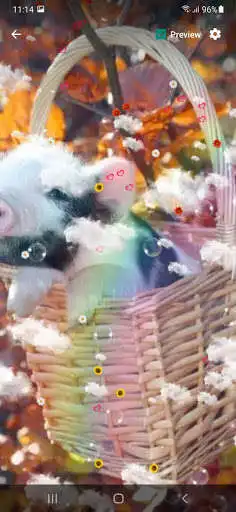 Play Pig Live Wallpaper  and enjoy Pig Live Wallpaper with UptoPlay