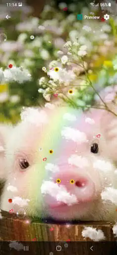 Play Pig Live Wallpaper as an online game Pig Live Wallpaper with UptoPlay