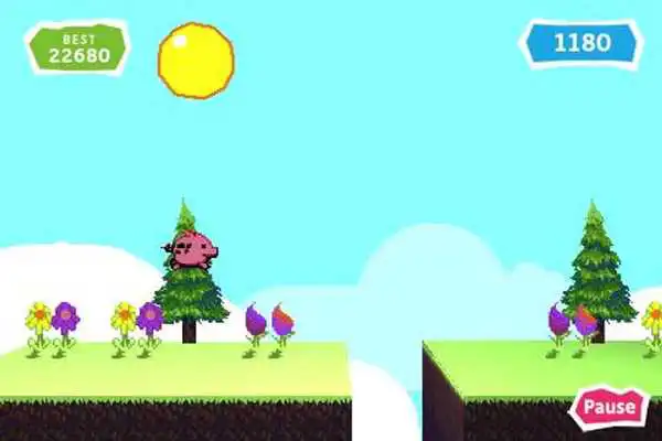 Play Pig rush