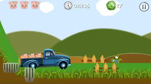 Play Pigs driver  and enjoy Pigs driver with UptoPlay