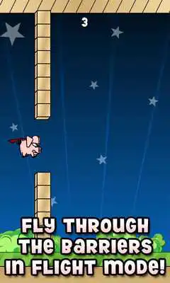 Play Pigs Fly Lite