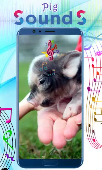 Play Pig Sounds  and enjoy Pig Sounds with UptoPlay