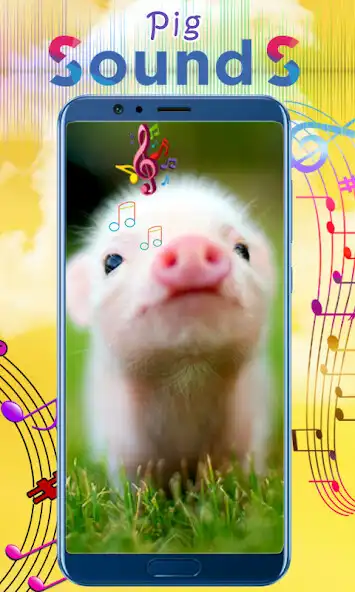 Play Pig Sounds as an online game Pig Sounds with UptoPlay