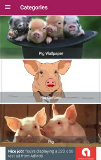 Play Pigs Wallpaper as an online game Pigs Wallpaper with UptoPlay