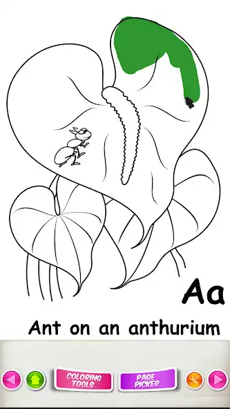 Play Pihana ABCs 2023  and enjoy Pihana ABCs 2023 with UptoPlay