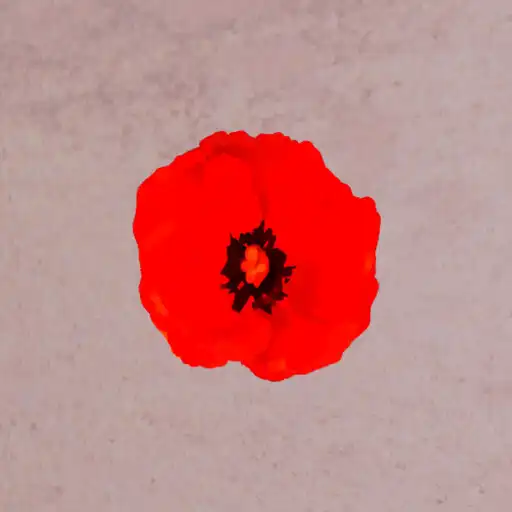 Play Pillars On Poppy Hills APK
