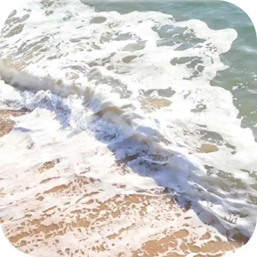 Play Pilot Gallery APK