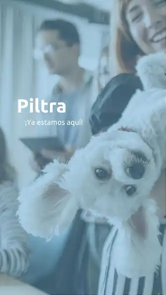 Play Piltra: pisos compartidos and enjoy Piltra: pisos compartidos with UptoPlay Play Piltra: pisos compartidos and enjoy Piltra: pisos compartidos with UptoPlay