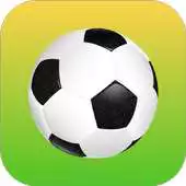 Free play online Pinball Goal 2D APK