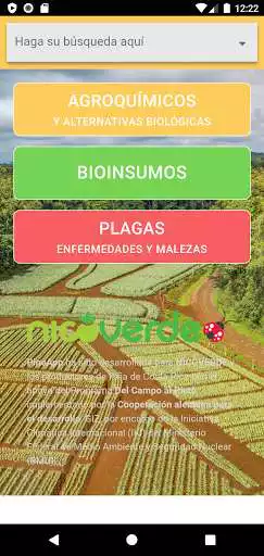 Play PineApp Costa Rica  and enjoy PineApp Costa Rica with UptoPlay