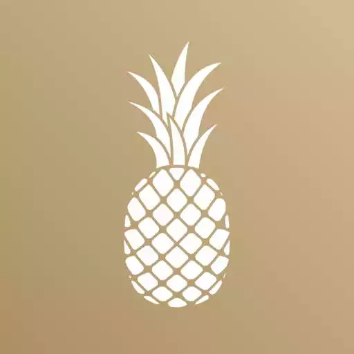 Play Pineapple Jobs APK
