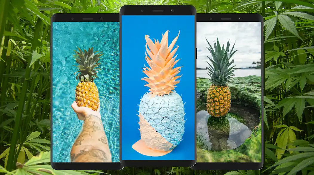 Play Pineapple Wallpaper 4K  and enjoy Pineapple Wallpaper 4K with UptoPlay