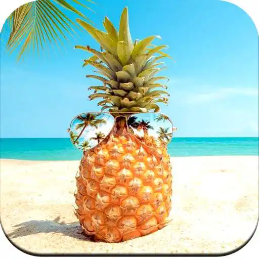 Play Pineapple Wallpaper HD APK