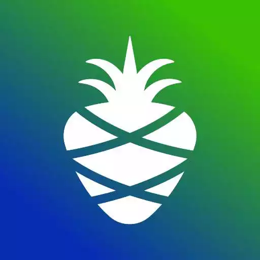 Play PineBerry APK Play PineBerry APK