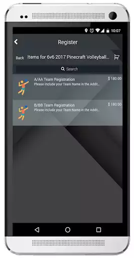 Play Pinecraft Volleyball Play Pinecraft Volleyball