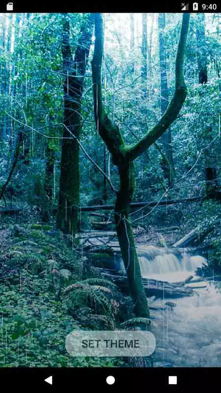 Play Pine forests live wallpaper HD