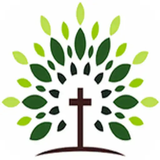 Free play online Pine Grove Baptist Church APK