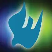 Free play online Pine Grove Church APK