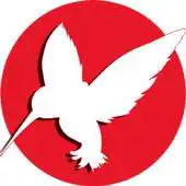 Free play online Pin Frases Colibri APK