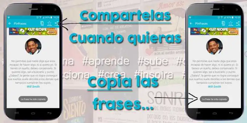 Play Pin Frases Colibri