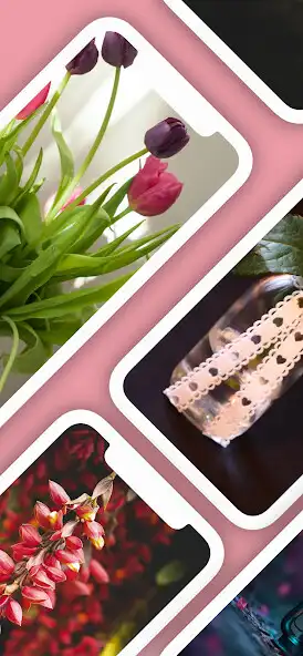 Play Pink and Red Roses Wallpaper as an online game Pink and Red Roses Wallpaper with UptoPlay
