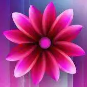 Free play online Pink Bubble Toucher Point APK