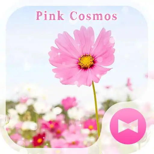 Free play online Pink Cosmos  Flower Theme APK
