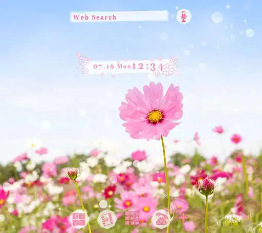 Play Pink Cosmos  Flower Theme