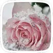 Free play online Pink Frozen Flower Theme APK