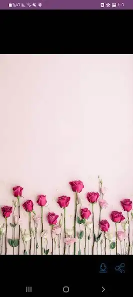 Play pink image _  pink wallpaper as an online game pink image _  pink wallpaper with UptoPlay