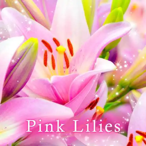 Play Pink Lilies Theme APK