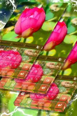 Play Pink Lotus Keyboard