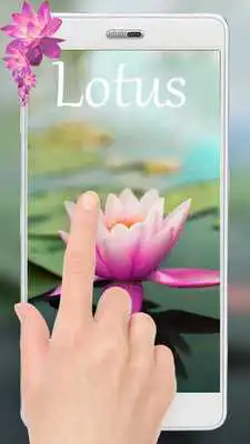 Play Pink Lotus Live wallpaper Free