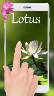 Play Pink Lotus Live wallpaper Free